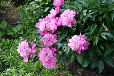 Similar image 21007369