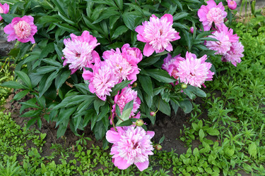 Similar image 21007370