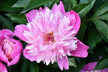 Similar image 21007371