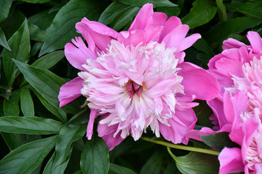 Similar image 21007373