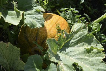 Similar image 21006340