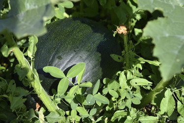 Similar image 21006341