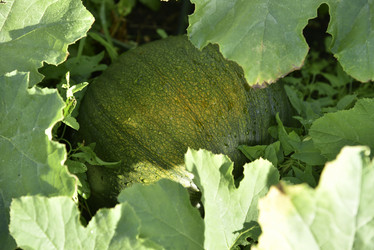 Similar image 21006342