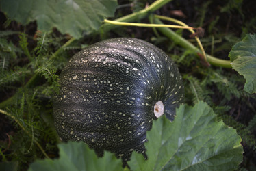 Similar image 21006343