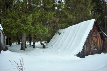 Similar image 21006378