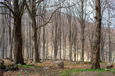 Similar image 21006382