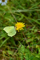 Similar image 21006384