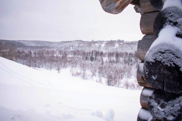 Similar image 21006385