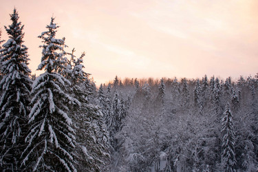 Similar image 21006386