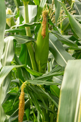 Similar image 21016415