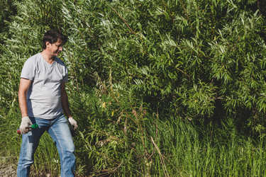 Similar image 21016416