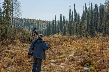 Similar image 21016419