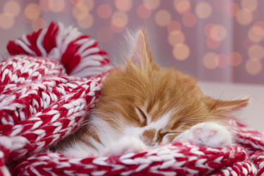 Similar image 21008352