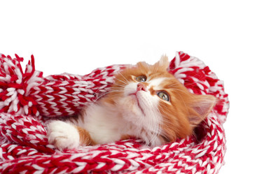 Similar image 21008353