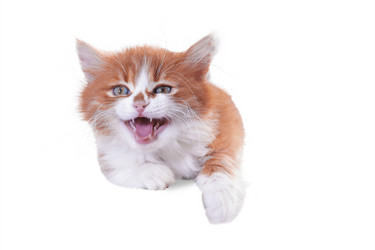 Similar image 21008354