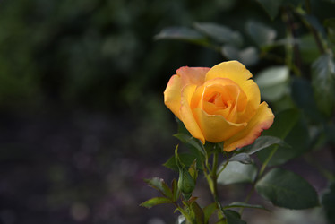 Similar image 21008362