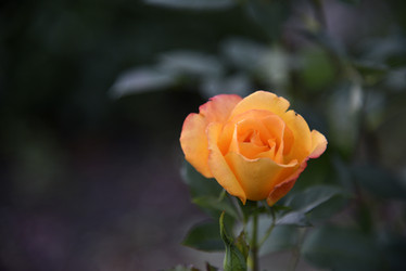 Similar image 21008367