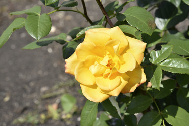 Similar image 21008370