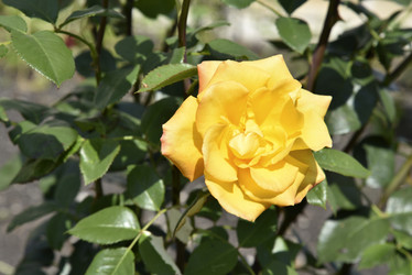 Similar image 21008371