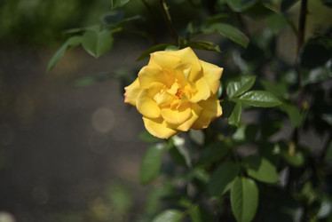 Similar image 21008372