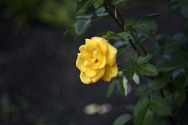 Similar image 21008374