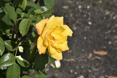 Similar image 21008377