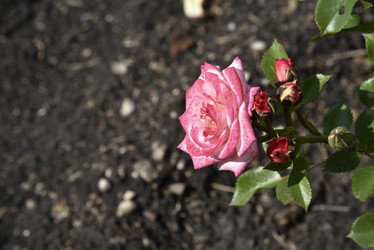 Similar image 21008378