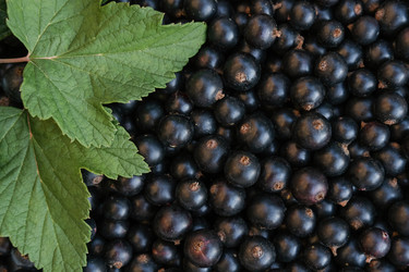 Similar image 21008379