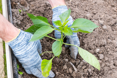 Similar image 21016547