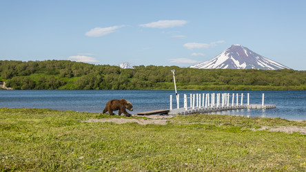 Similar image 21013620