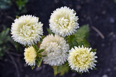 Similar image 21008391