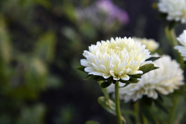 Similar image 21008392