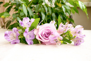 Similar image 21008493