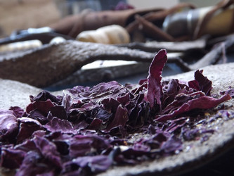 Similar image 21008410