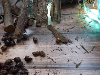 Similar image 21008412