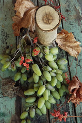 Similar image 21008414