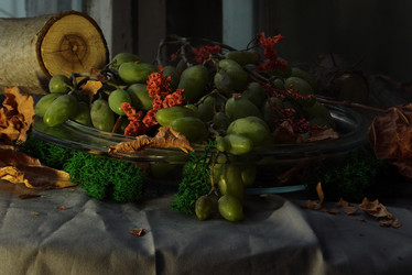 Similar image 21008416