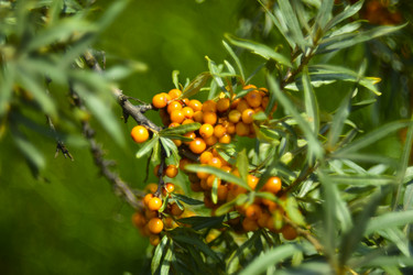 Similar image 21008419