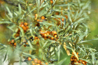 Similar image 21008420