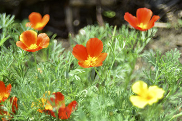 Similar image 21008421