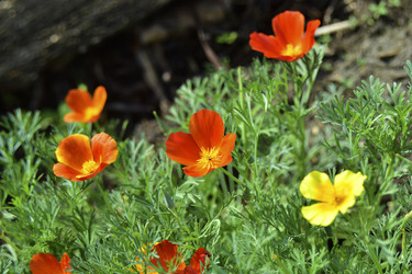 Similar image 21008422