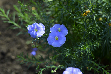 Similar image 21008424