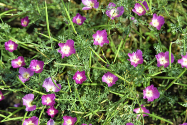 Similar image 21008427