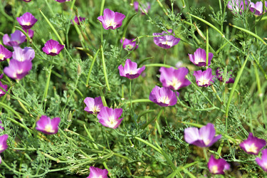 Similar image 21008428