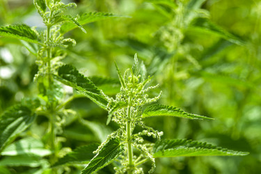 Similar image 21008431