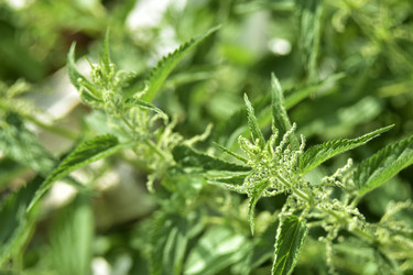 Similar image 21008432