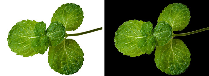 Similar image 21009685