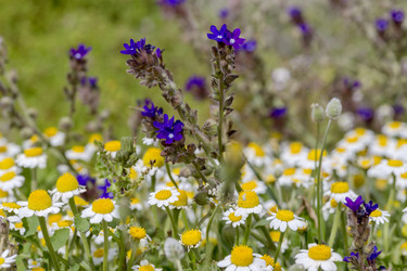 Similar image 21016548