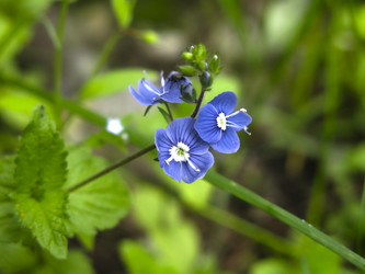 Similar image 21009882