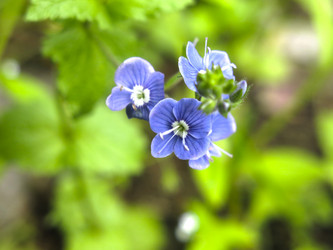 Similar image 21009883